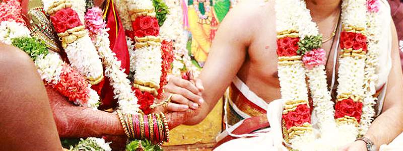 “arranged wedding”,”the arranged marriage”,”hindu arranged marriage”